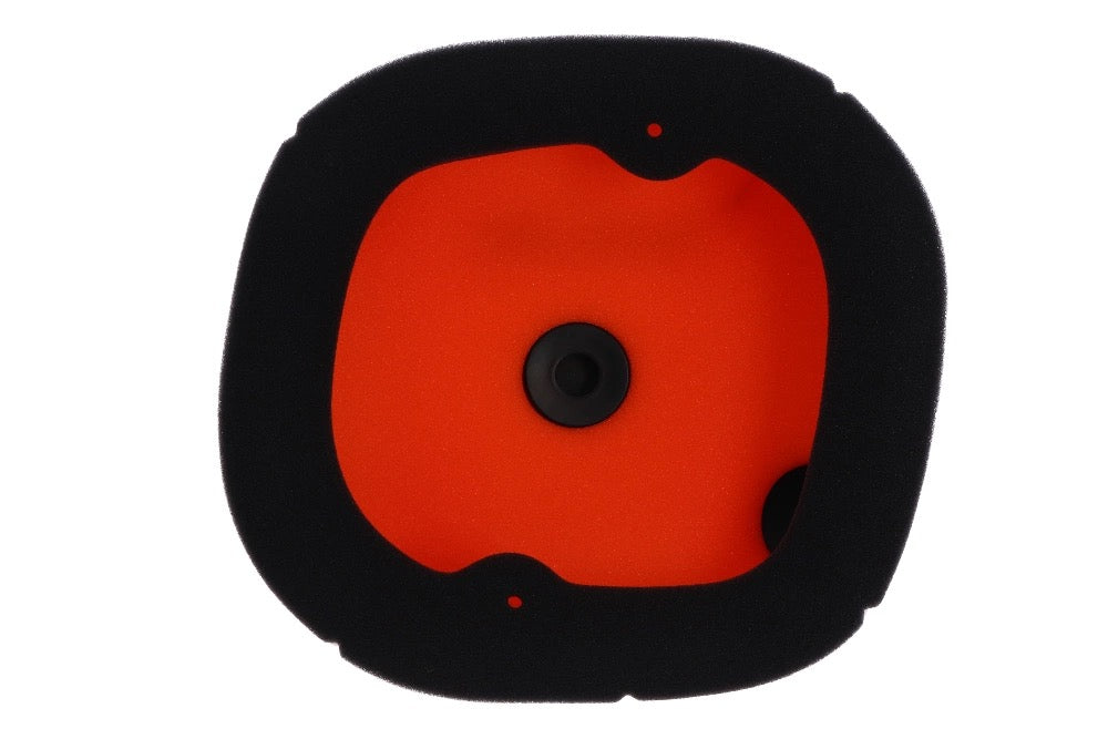 Twin Air Luchtfilter voor Triumph TX 250X 2024