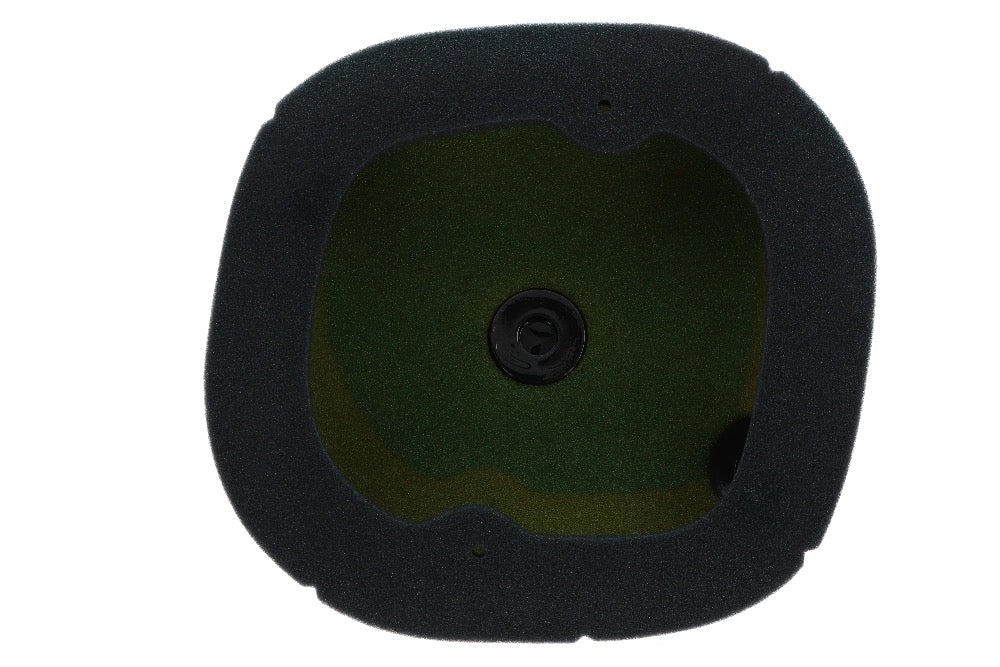 Twin Air Air Filter Bio Oiled for Triumph TX 250X 2024