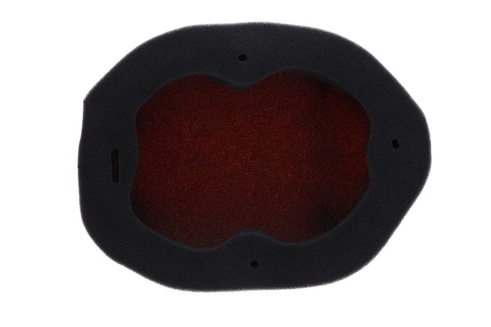 Twin Air Feuerbeständiger Luftfilter ungeölt für Powerflow-Kit 151129C Kawasaki KX 450F 2024